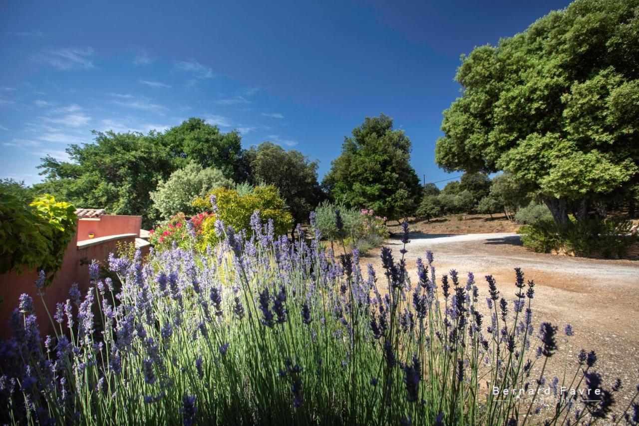 Mas Saint Antoine Villa Bourg-Saint-Andeol Ngoại thất bức ảnh